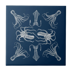 Octopus Dance Tile Tegeltje