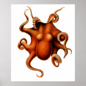 Octopus Die Cephalopod Poster vintage (Devant)