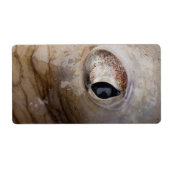 Octopus Eye Etiket (Voorkant)
