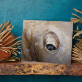 Octopus Eye Fotoplaat (Zijkant)