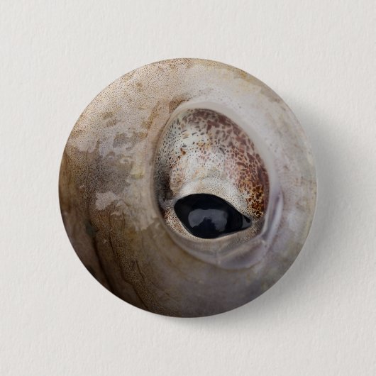 Octopus Eye Ronde Button 5,7 Cm (Voorkant)