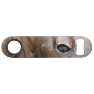 Octopus Eye Speed Flessenopener