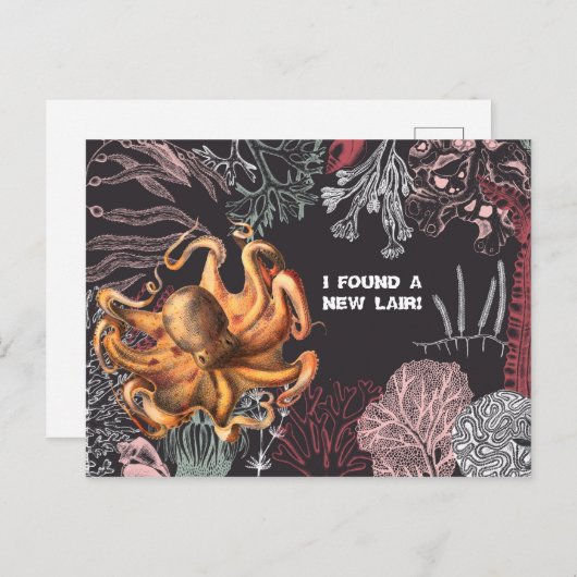 Octopus Garden Adreswijziging Briefkaart (Voorkant / Achterkant)