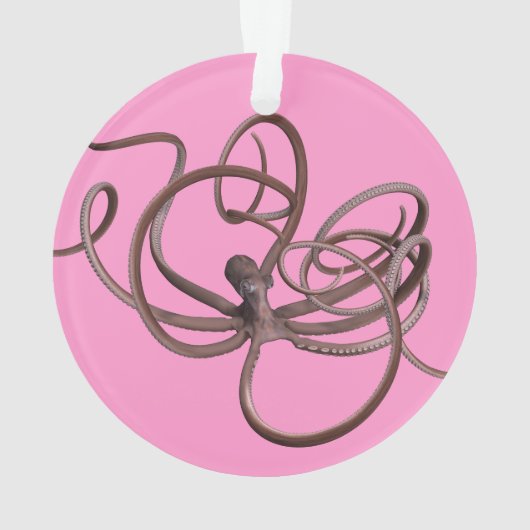 Octopus géant (dos)