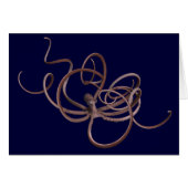 Octopus géant (Devant horizontal)