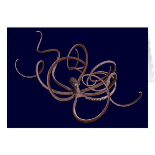 Octopus géant (Devant horizontal)