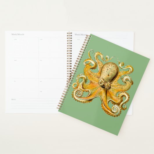 Octopus Gold et Blue Spiral Planner (Devant avec enveloppe)
