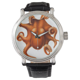  Octopus Horloges