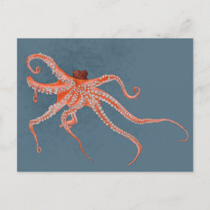 Octopus Hugs Briefkaart