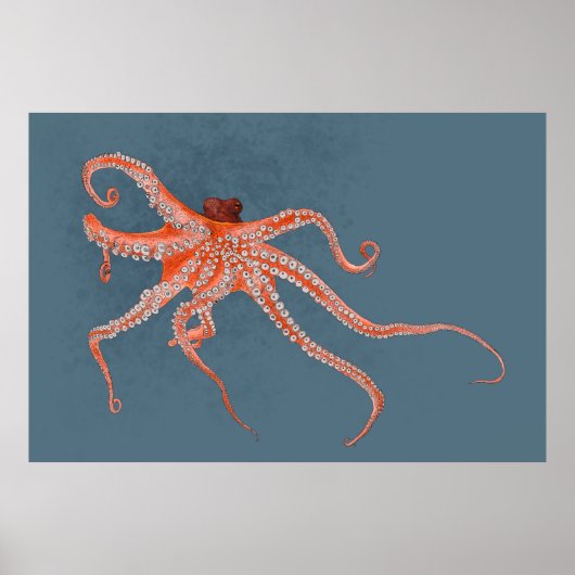 Octopus Hugs Poster (Voorkant)