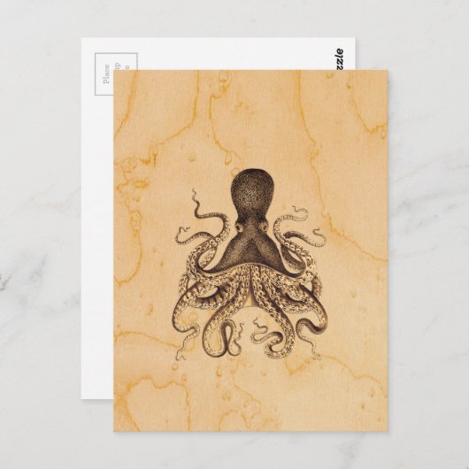 Octopus Illustratie in Browns Briefkaart (Voorkant / Achterkant)