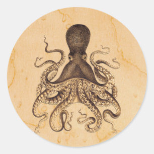 Octopus Illustratie in Bruins Ronde Sticker