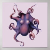 Octopus Illustratie Poster (Voorkant)