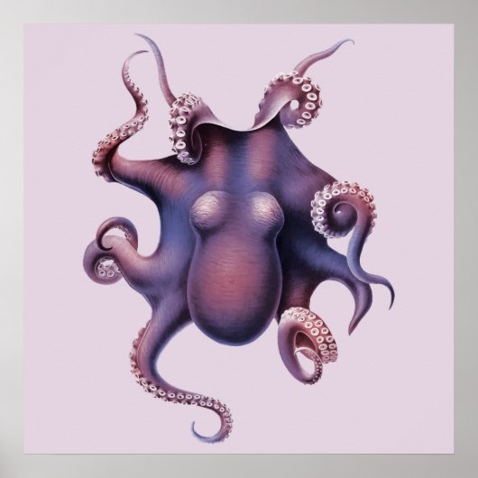 Octopus Illustratie Poster (Voorkant)