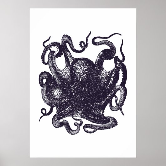  Octopus Illustratie Poster (Voorkant)
