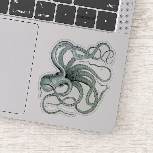  Octopus Illustratie Sticker (Detail)