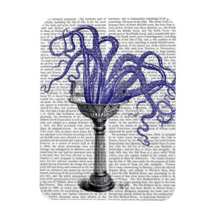 Octopus in de gootsteen magneet