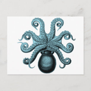 Octopus in het Blauwgroen Briefkaart
