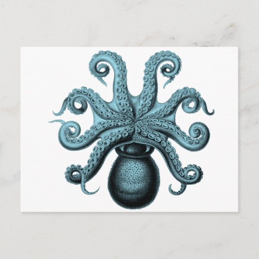 Octopus in het Blauwgroen Briefkaart (Voorkant)