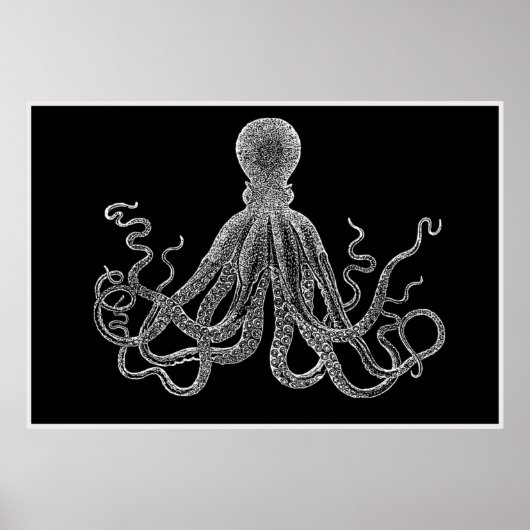 octopus in zwart-wit Poster (Voorkant)