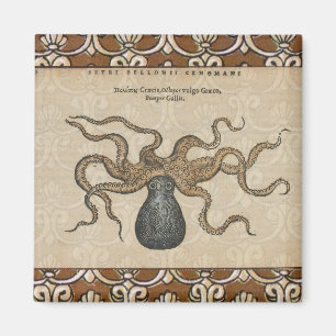 Octopus Kraken Antiek Kust Mariene Wilde Dieren Magneet