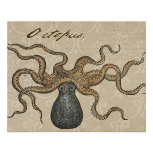 Octopus Kraken Antiek Kust Mariene Wilde Dieren Perfect Poster