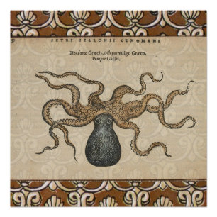 Octopus Kraken Antiek Kust Mariene Wilde Dieren Perfect Poster