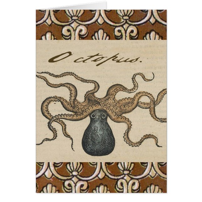 Octopus Kraken Vintage Illustration (Devant)