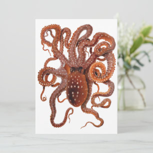 Octopus Macropus, Antieke Mariene Waterdieren