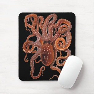 Octopus Macropus, Antieke Mariene Waterdieren Muismat