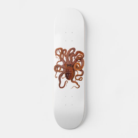 Octopus Macropus Atlantic White Spotus Octopus Skateboard (Voorkant)