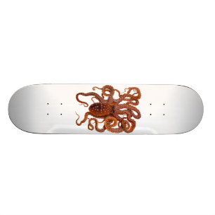 Octopus Macropus Atlantic White Spotus Octopus Skateboard
