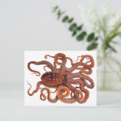 octopus Macropus, zeewaterdieren Briefkaart (Staand voorkant)