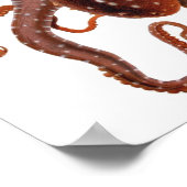 octopus Macropus, zeewaterdieren Poster (Hoek)