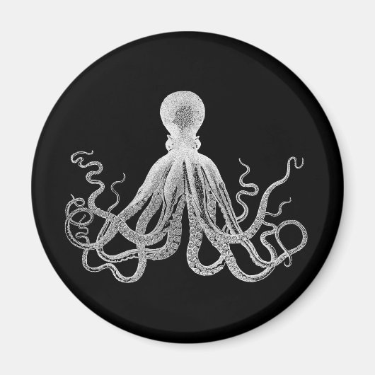  octopus magneet (Voorkant)