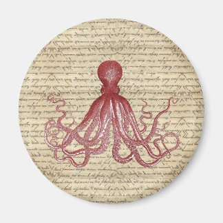  octopus magneet