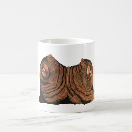 Octopus mok (Center)