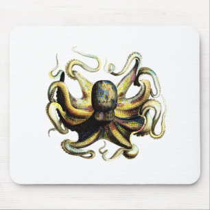 Octopus Muismat