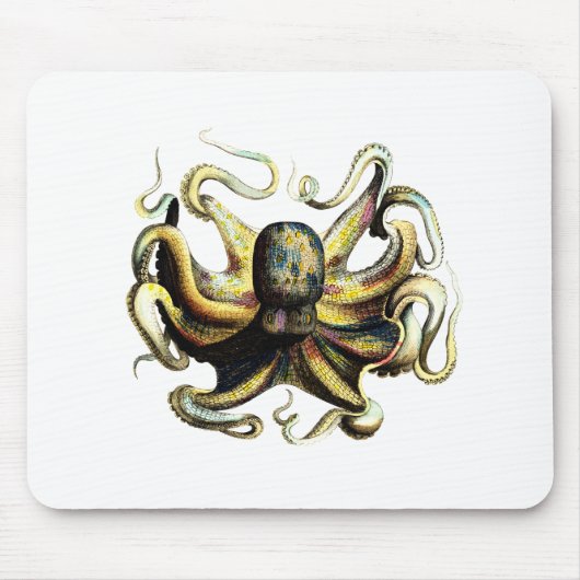 Octopus Muismat (Voorkant)
