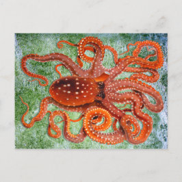 Octopus Ocean Briefkaart