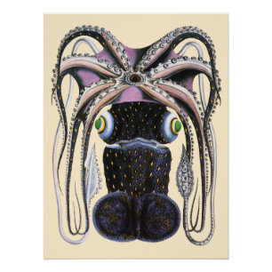 Octopus of Reuzenpijlinktvis, Dier uit de Oude Zee Perfect Poster