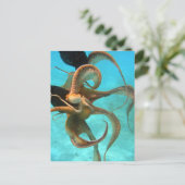 Octopus onderwater briefkaart (Staand voorkant)