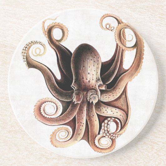 Octopus Onderzetter (Voorkant)