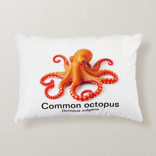 Octopus op een kussen (Voorkant)