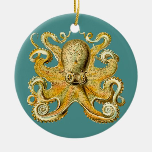 octopus ornament (Voorkant)