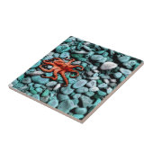 Octopus Pebbles Tegeltje (Zijkant)