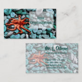 Octopus Pebbles Visitekaartje (Voorkant / Achterkant)