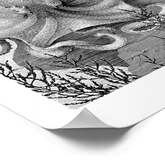  Octopus  Poster (Hoek)