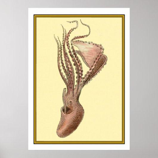 octopus poster (Voorkant)