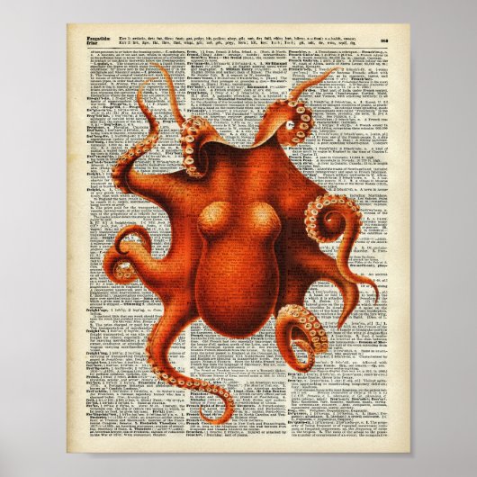 Octopus Poster (Voorkant)